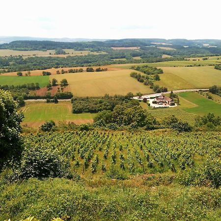 Gite Le Delice Villa Tannay  Eksteriør bilde